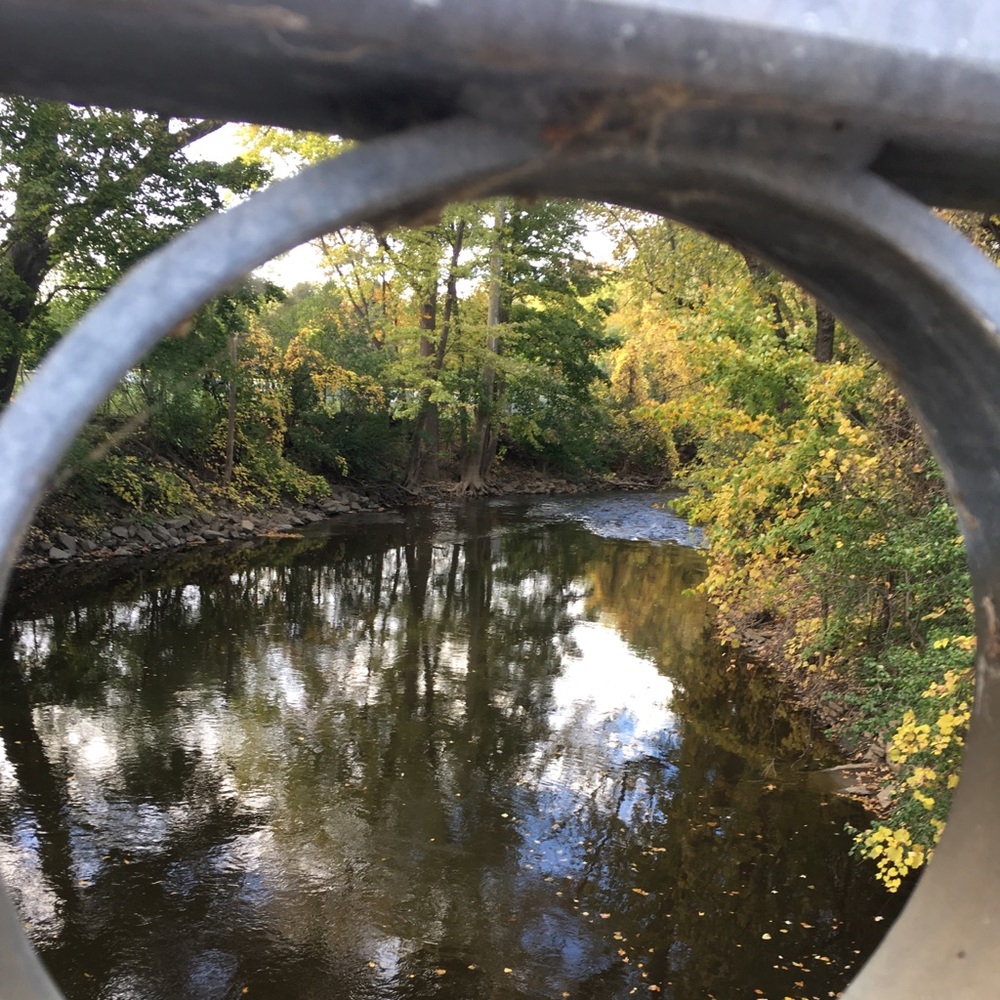 Meet your Posher, Julia